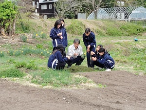 メディア (2)